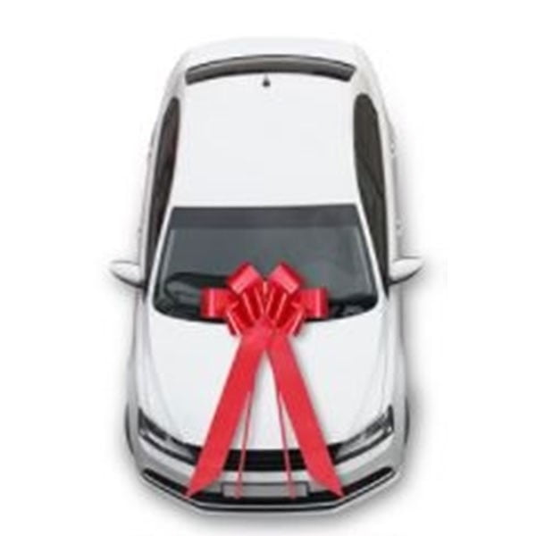 30 Inch Giant Bow Car top