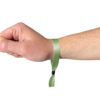 Apple Green Festival Wristband