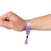 Lilac Festival Wristband